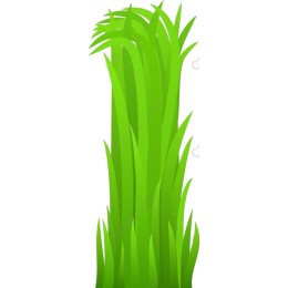Lush Green Grass