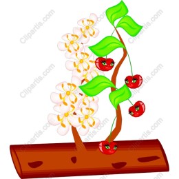 Playful Cherry Blossom