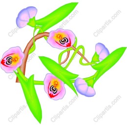 Charming Orchid Floral
