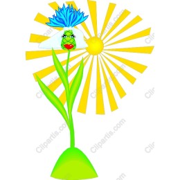 Sunny Blossom