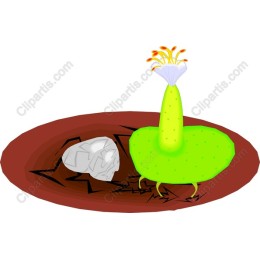 Green Desert Flora