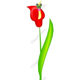 Playful Red Flower