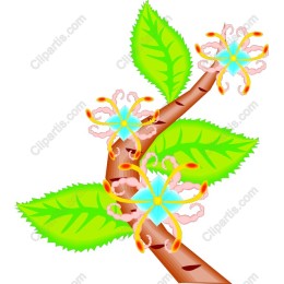 Floral Branch