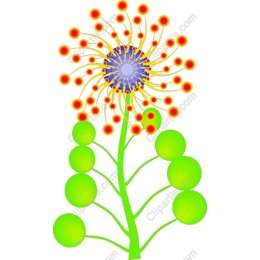 Radiant Flower
