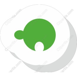 Vibrant Green Turtle