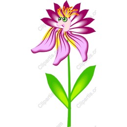 Whimsical Pink Flower