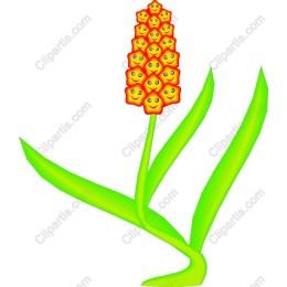Cheerful Flower