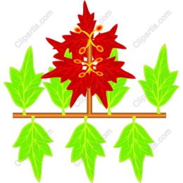 Vibrant Red & Green Botanical