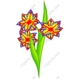 Vibrant Floral Delight