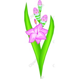 Whimsical Pink Flower