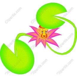 Playful Water Lily Cartoon