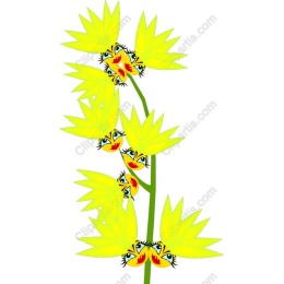 Cheerful Floral Faces