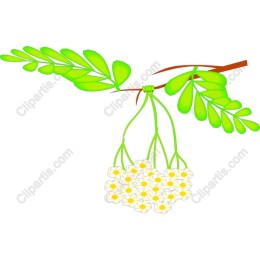 Nature-Inspired Floral Branch