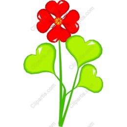 Red Flower with Heart Leaves