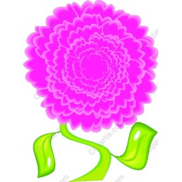 Pink Flower