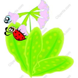 Whimsical Ladybug on Leaves