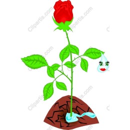 Whimsical Rose with Water Droplet