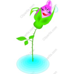 Whimsical Rose Character