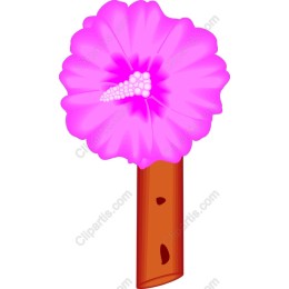 Vibrant Pink Fluffy Tree
