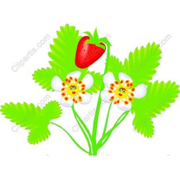 Cheerful Strawberry Plant