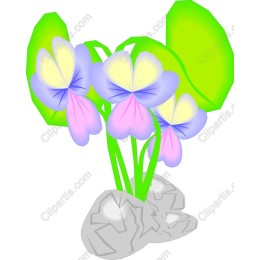Colorful Floral