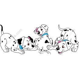 Playful Dalmatian Puppies