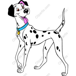 Cheerful Dalmatian