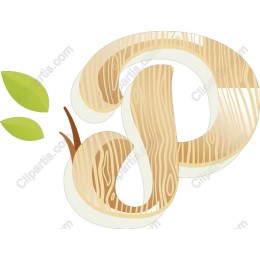 Wood-Textured Letter P