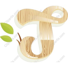 Natural Wood Textured Letter J