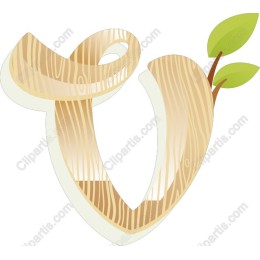 Natural Wood Letter V
