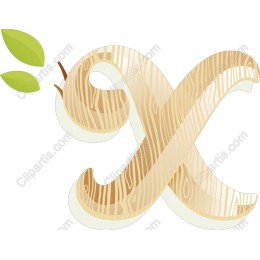 Wooden X