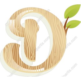 Wooden Letter D