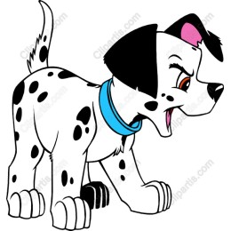 Dalmatian Delight
