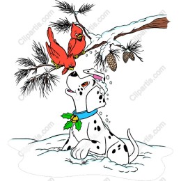 Winter Joy