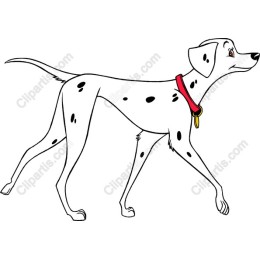 Dalmatian Delight: Playful Dog