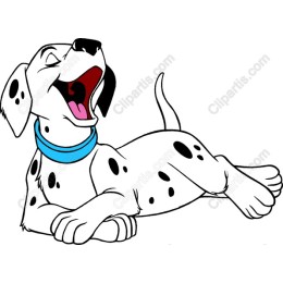 Playful Dalmatian Dog