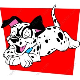 Playful Dalmatian Puppy