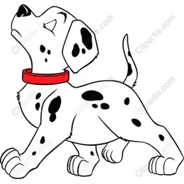 Charming Dalmatian Puppy