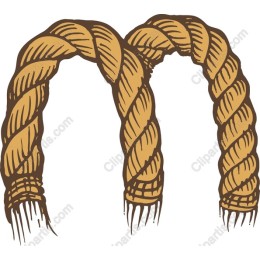Braided Hair