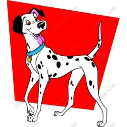 Cheerful Dalmatian
