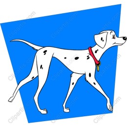 Charming Dalmation