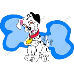 Dalmatian Puppy Playful