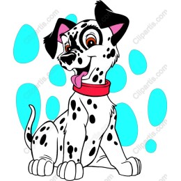 Charming Dalmatian Pup