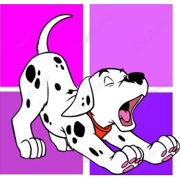Dazzling Dalmatian