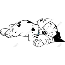 Sleeping Dalmatian Puppy