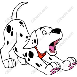 Charming Dalmatian Puppy