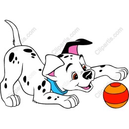 Playful Dalmatian Puppy