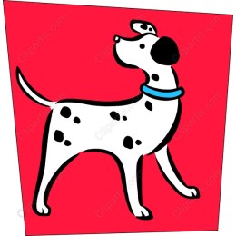 Charming Dalmatian Dog