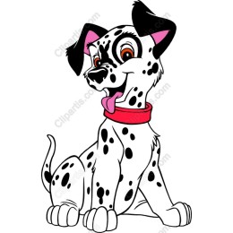 Adorable Dalmatian