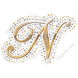 Elegant Gold and Silver Letter N